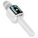 Портативная колонка-микрофон HOCO L24 Shine karaoke microphone, 5W, Blue 422650705 фото 3