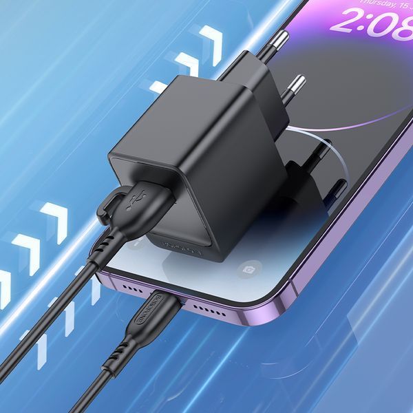 Мережевий зарядний пристрій з кабелем BOROFONE BAS11A Erudite single port charger set(iP) Black 104754174 фото