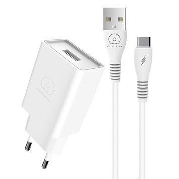 Мережевий зарядний пристрій з кабелем WUW-T82 Single USB home charger set type-c 114161760 фото