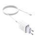 Мережевий зарядний пристрій з кабелем HOCO C81A Asombroso single port charger set(Type-C) White 151859285 фото 6