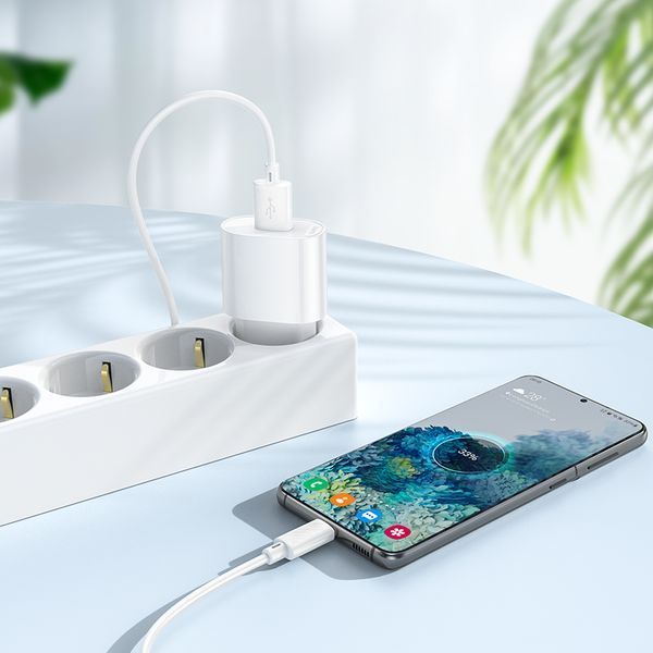Мережевий зарядний пристрій з кабелем HOCO C109A(10.5W) Fighter single port charger set(Micro) White 311095008 фото
