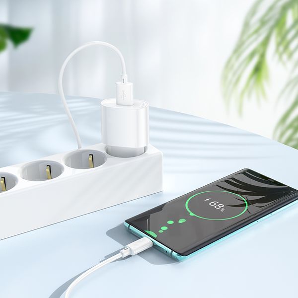 Мережевий зарядний пристрій з кабелем HOCO C109A(10.5W) Fighter single port charger set(Type-C) White 145688695 фото