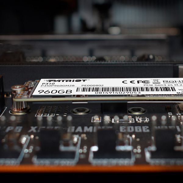 Накопичувач SSD M.2 Patriot P310 960GB NVMe 2280 PCIe 3.0x4 3D NAND TLC 873829517 фото