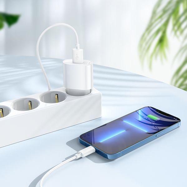 Сетевое зарядное устройство с кабелем HOCO C109A(10.5W) Fighter single port charger set(iP) White 896058919 фото