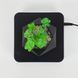 Магнітний левітаційний горщик для рослин HCNT Magnetic Levitating Pot M10-GW4 Black 134655082 фото 3