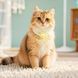 Трекер HOCO E91D Tiger smart anti-lost device(cat collar type) 803652547 фото 7