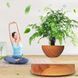 Магнітний левітаційний горщик для рослин HCNT Magnetic Levitating Pot M10-PS Wood Grain 724946742 фото 2