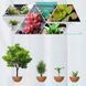 Магнітний левітаційний горщик для рослин HCNT Magnetic Levitating Pot M10-PS Wood Grain 724946742 фото 4