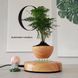 Магнітний левітаційний горщик для рослин HCNT Magnetic Levitating Pot M10-PS Wood Grain 724946742 фото 3