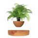 Магнітний левітаційний горщик для рослин HCNT Magnetic Levitating Pot M10-PS Wood Grain 724946742 фото 1