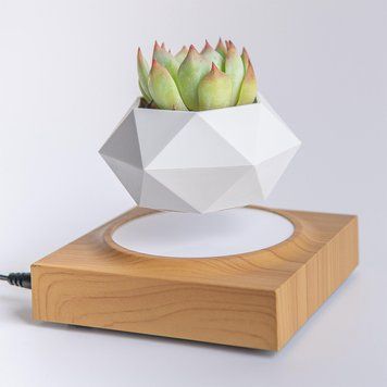 Магнітний левітаційний горщик для рослин HCNT Magnetic Levitating Pot M10-FP Wood Grain 679406892 фото