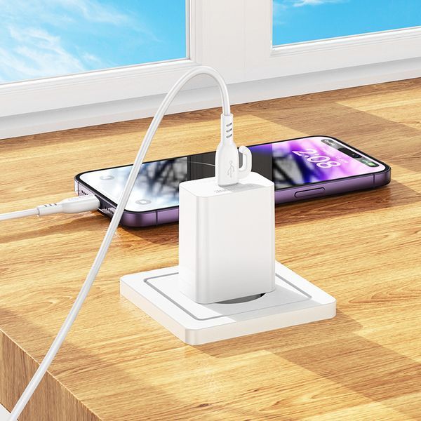 Мережевий зарядний пристрій BOROFONE BA21A Pro Long journey single port PD20W charger White 262286825 фото