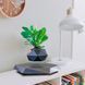 Магнітний левітаційний горщик для рослин HCNT Magnetic Levitating Pot M10-PZ1 Black 341570781 фото 4