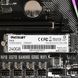 Накопичувач SSD M.2 Patriot P310 240GB NVMe 2280 PCIe 3.0 3D TLC 258849996 фото 7