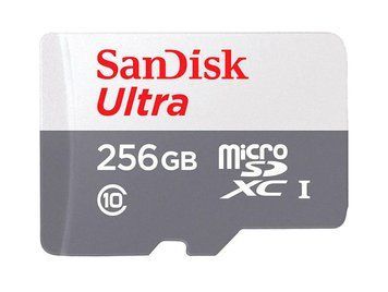 Карта пам'яті microSDXC (UHS-1) SanDisk Ultra 256Gb class 10 A1 (100Mb/s) 300117444 фото