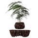 Магнітний левітаційний горщик для рослин HCNT Magnetic Levitating Pot M5B-PW Brown 420483578 фото 1