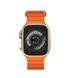 Смарт-годинник W&O X10 Ultra 3 49mm. 300 mAh. IP67 Gold 603184734 фото 8