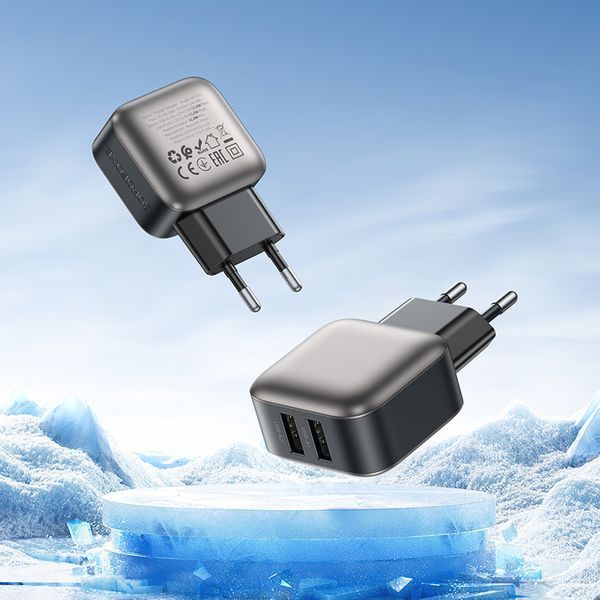 Мережевий зарядний пристрій BOROFONE BAS51A Absolute dual-port charger Black 104892301 фото